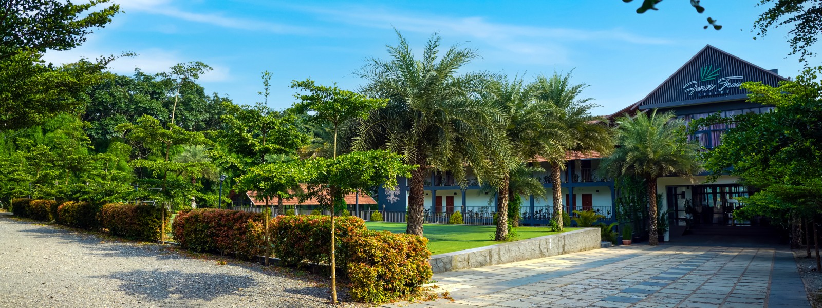 Best resorts in Wayanad for honeymoon