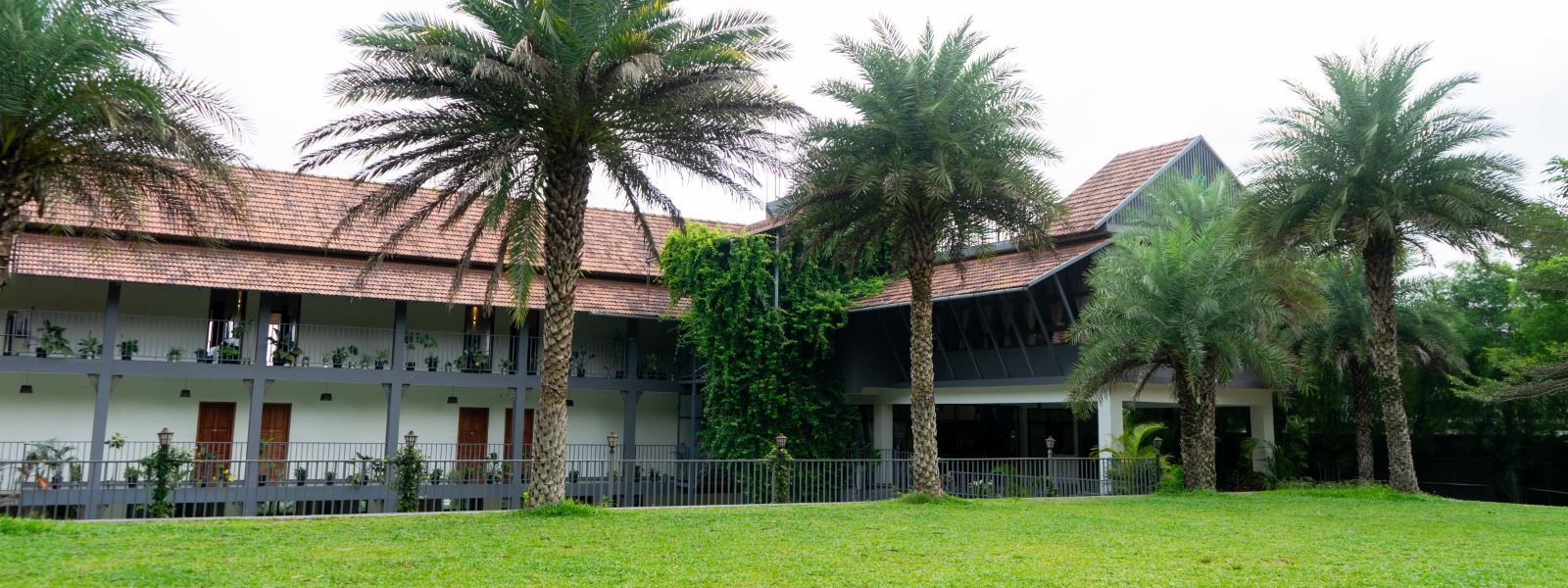 Luxury Resorts in Wayanad